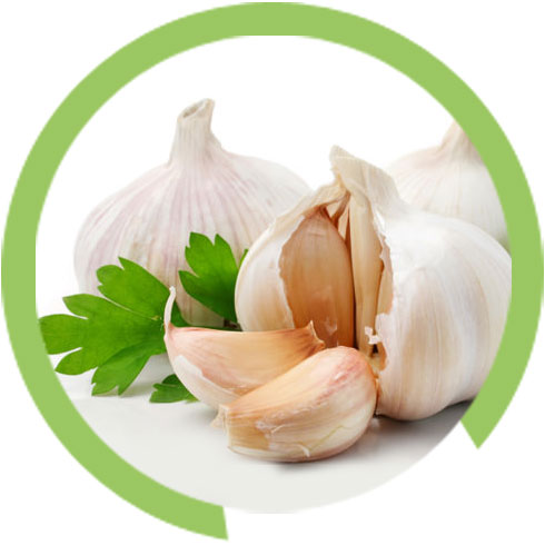 diet for skin problems- Garlic