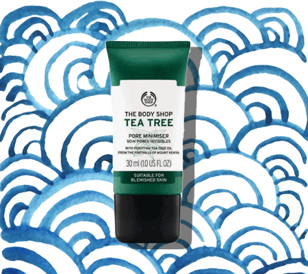 Pore Minimizers That Actually Work - 26