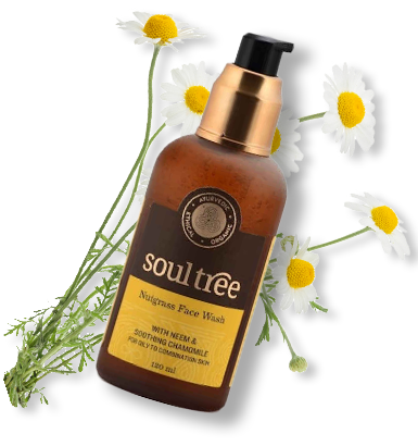 The best herbal facewashes to kickstart your day - 2