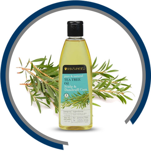 Natural Ingredients Product – Tea Tree Oil