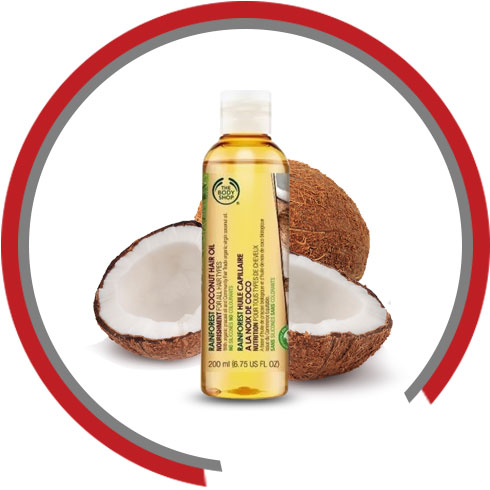 Best natural Ingredients for Hair – Coconut Oil
