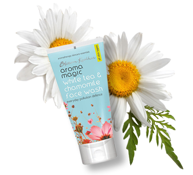 Tantalize Your Senses With Magical Aroma Magic - 1