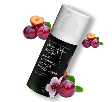 Tantalize Your Senses With Magical Aroma Magic - 6