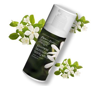 Tantalize Your Senses With Magical Aroma Magic - 8