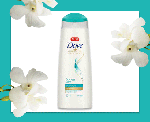 best shampoo for hair dryness