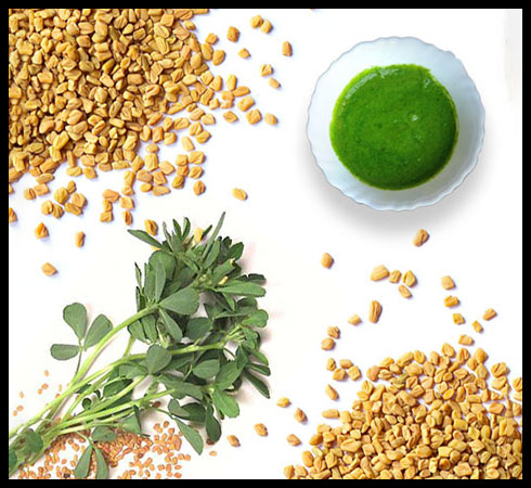 Hair Fall Remedy – Fenugreek Seeds