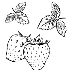 Kiss And Tell With The Nykaa Serial Kisser Lip Balms - 3