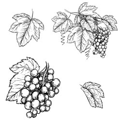 Kiss And Tell With The Nykaa Serial Kisser Lip Balms - 11