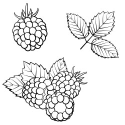 Kiss And Tell With The Nykaa Serial Kisser Lip Balms - 12