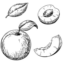 Kiss And Tell With The Nykaa Serial Kisser Lip Balms - 15