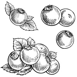 Kiss And Tell With The Nykaa Serial Kisser Lip Balms - 16