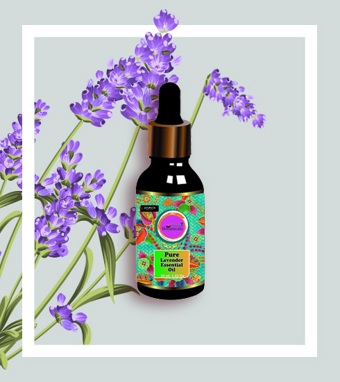 Roses For Lunch Flowers Thatre Good Enough To Eat - 4