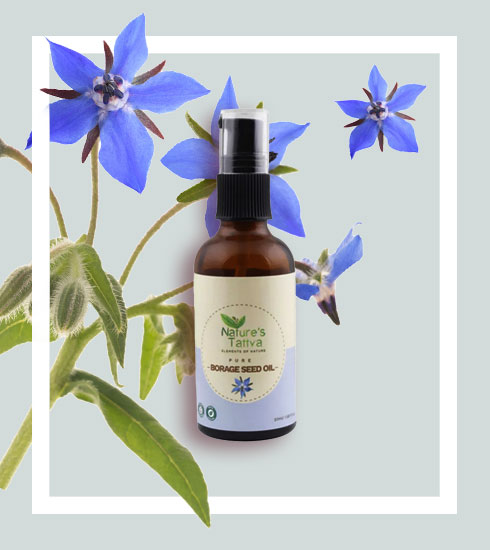 Roses For Lunch Flowers Thatre Good Enough To Eat - 6