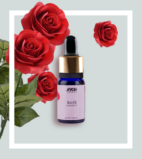 Roses For Lunch Flowers Thatre Good Enough To Eat - 7