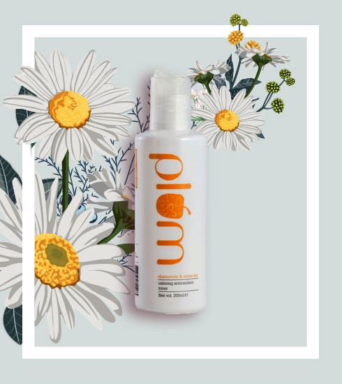 Roses For Lunch Flowers Thatre Good Enough To Eat - 8