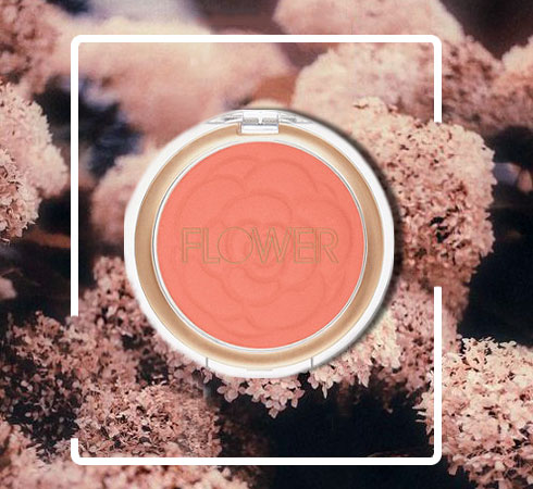 E.T, Phone Home     Flower Beauty Is Finally Here! - 5