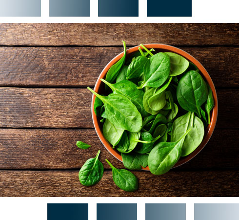 Healthy food for hair growth - Spinach