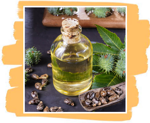 Ingredient in Castor Oil Soap– Castor Oil