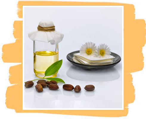 Ingredient in Jojoba Oil Soap– Jojoba Oil