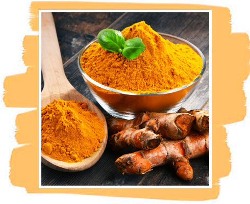 Ingredient in Turmeric Soap– Turmeric