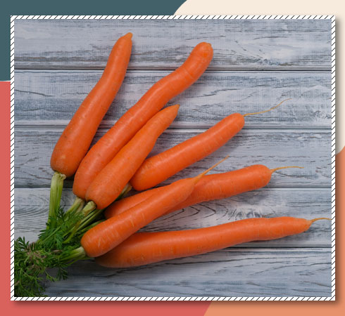 the best source of Vitamin A is carrot