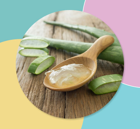 home remedies hyperpigmentation- aloe vera