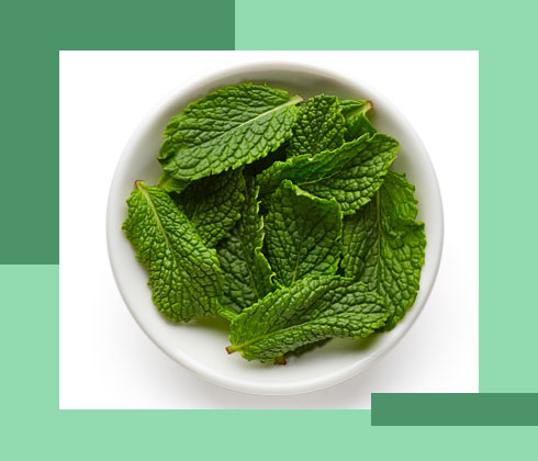 home remedies to remove dark circles – mint leaves