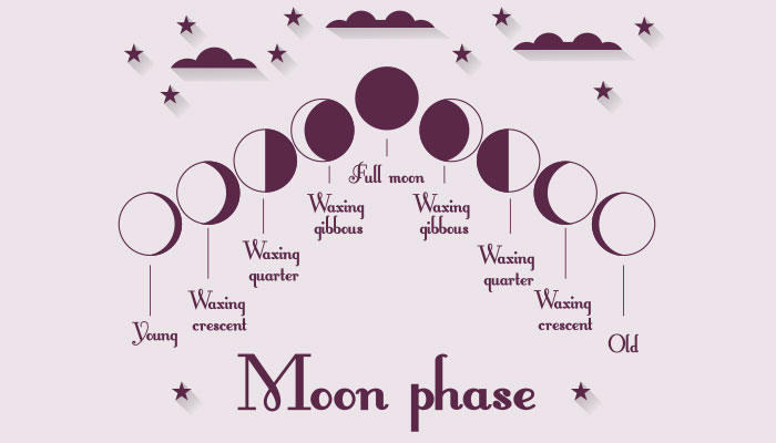 cycles of the moon