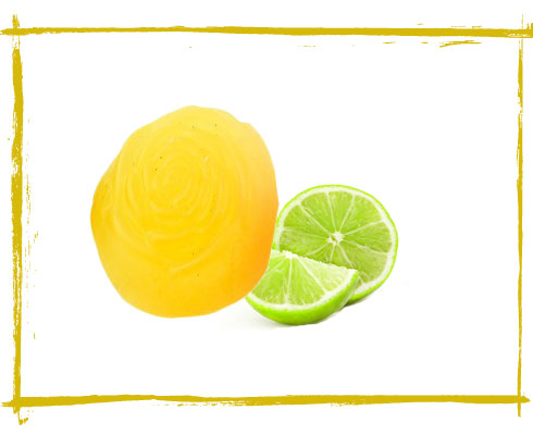 best soap for summer – Soulflower Lemon Soap