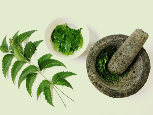 8 Neem Infused Products To Add To Your Beauty Kitty 