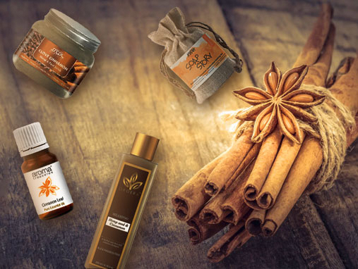Cinnamon Fun: The Secret Ingredient To Flawless Skin & Hair