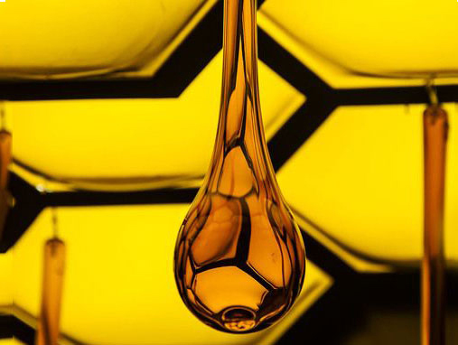 Honey-Infused Beauty We’re Buzzed About