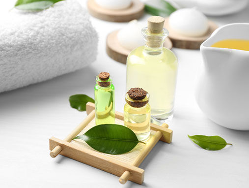 Top Picks From Nykaa’s Tea Tree Treasures