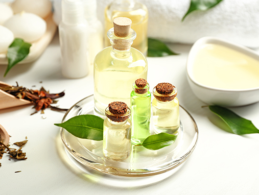 Top Picks From Nykaa’s Tea Tree Treasures