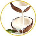  Coconut Milk Extract