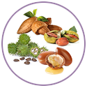 Sweet Almond, Castor, Jojoba and Argan Oils for hair