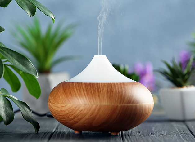 WOW Skin Science Bergamot Essential Oil for Home