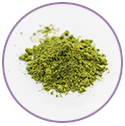 Matcha Green Tea Extract