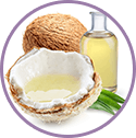 coconut oil - ingredient of wow skin science black seed Onion Hair Oil