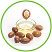 Moroccan Argan Oil for healthy hair