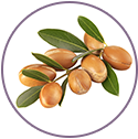 Argan Oil