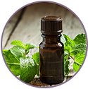 Peppermint Essential Oil