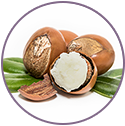 Shea Butter