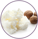 Shea Butter
