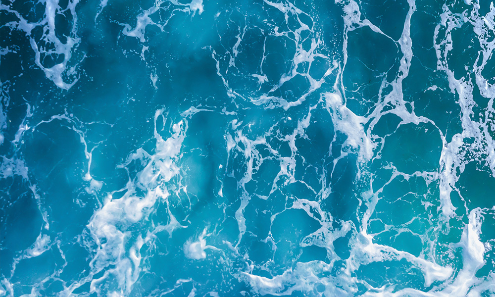 WOW Skin Science Wild Aqua Foaming Body Wash