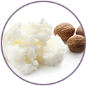 Shea Butter