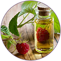 Raspberry Extract