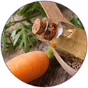  Carrot Seed Extract
