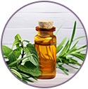 Tea Tree Essential Oil