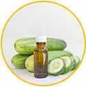 Cucumber Extract